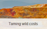 Taming_wild_costs-1